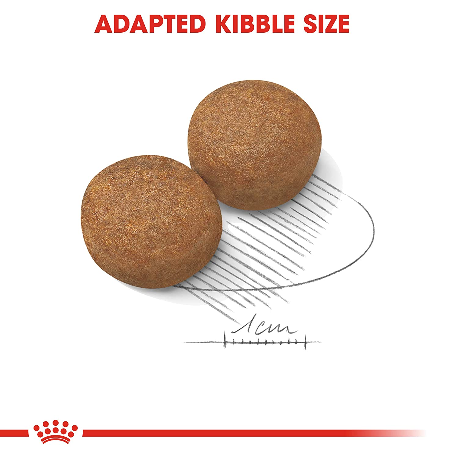 Royal Canin Maxi Breed 5+ Adult Dry Dog Food - 4 kg-3