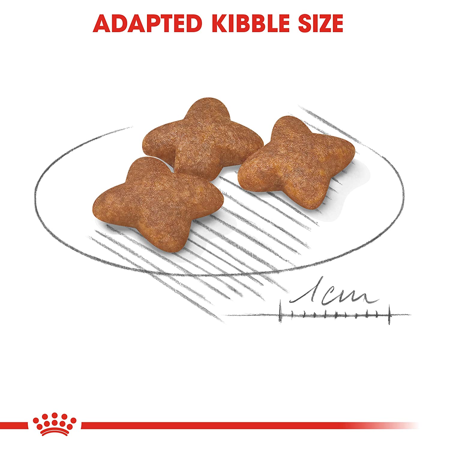 Royal Canin Mini Breed Adult Dry Dog Food-3