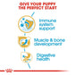 Royal Canin Rottweiler Junior Dry Puppy Food-4