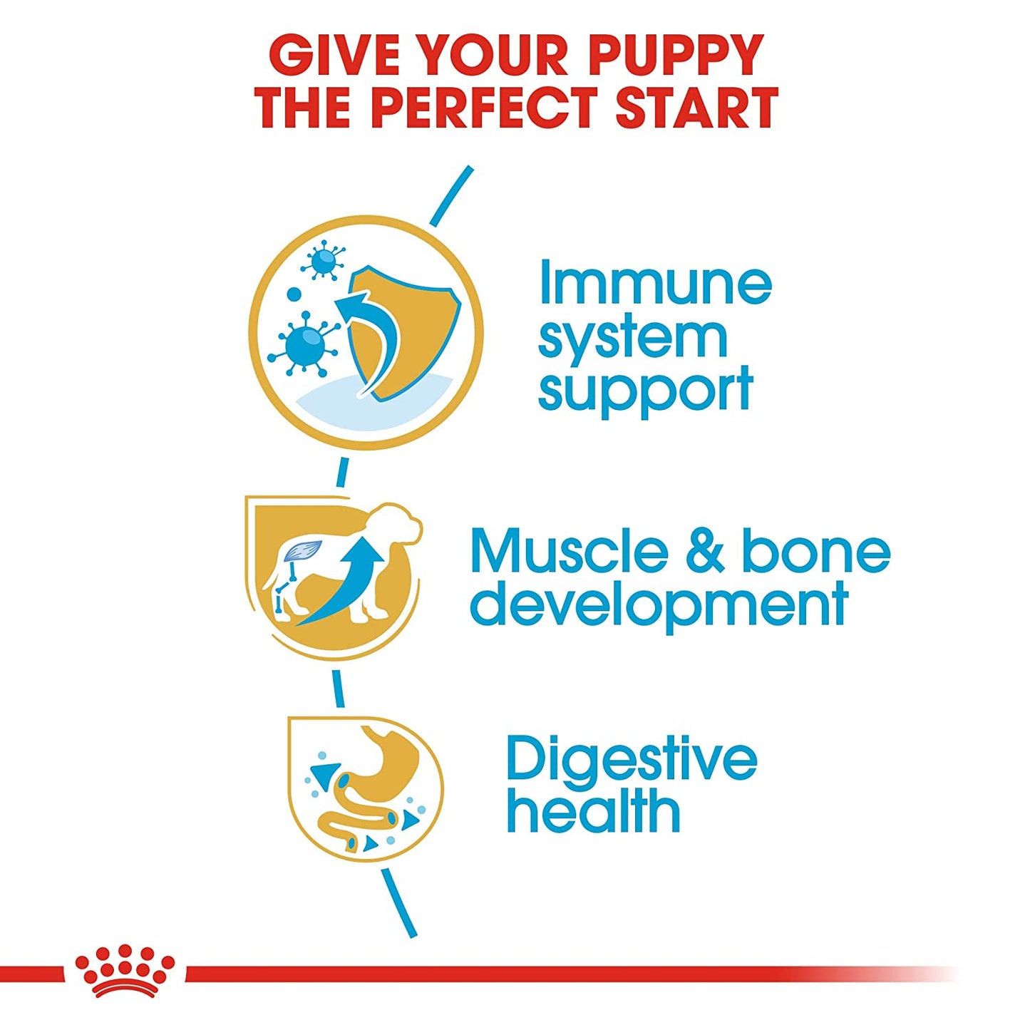Royal Canin Rottweiler Junior Dry Puppy Food-4
