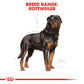 Royal Canin Rottweiler Adult Dog Food-6