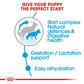 Royal Canin Maxi Breed Starter Puppy Food-4