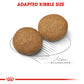Royal Canin Medium Breed Adult Dry Dog Food-3