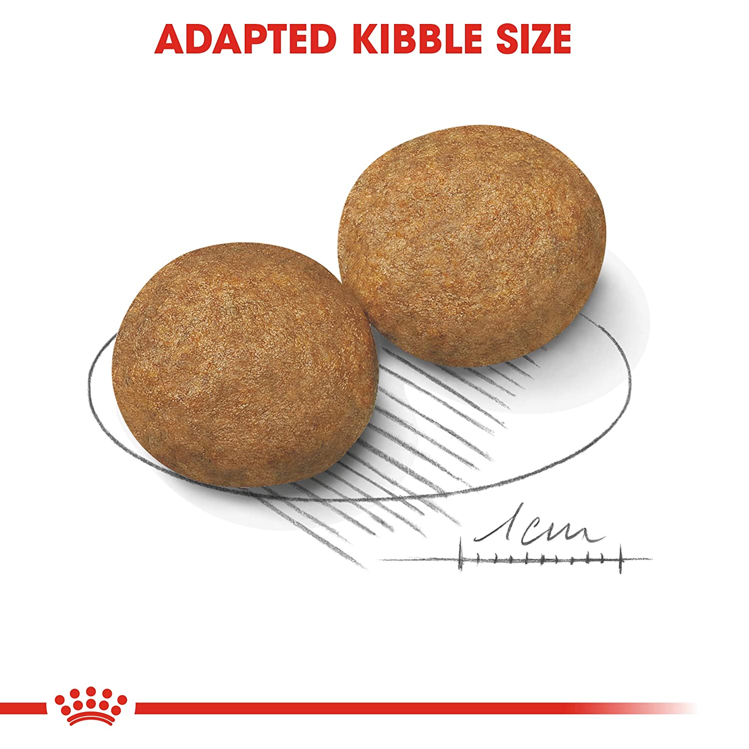 Royal Canin Medium Breed Adult Dry Dog Food-3
