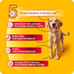 Pedigree Chicken Chunks in Gravy Wet Puppy Food - 70 g - Heads Up For Tails