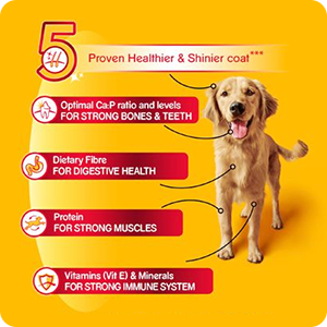 Pedigree Chicken Chunks in Gravy Wet Puppy Food - 70 g - Heads Up For Tails