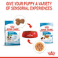 Royal Canin Puppy Mini Wet Puppy Food (1-10kg) - 85 g packs - Heads Up For Tails