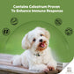 PURINA PROPLAN Small & Mini Breed Dry Puppy Food (Chicken Formula) - Heads Up For Tails