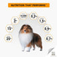 PURINA PRO PLAN Adult Medium Breed Dry Dog Food - Chicken Formula - Heads Up For Tails