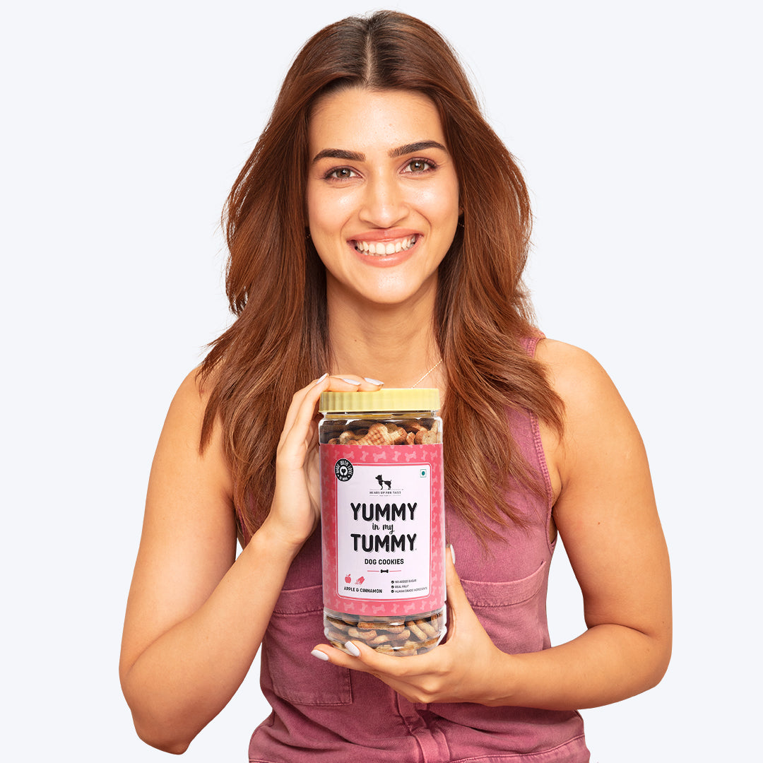 HUFT YIMT Apple and Cinnamon Vegetarian Dog Biscuits - Heads Up For Tails