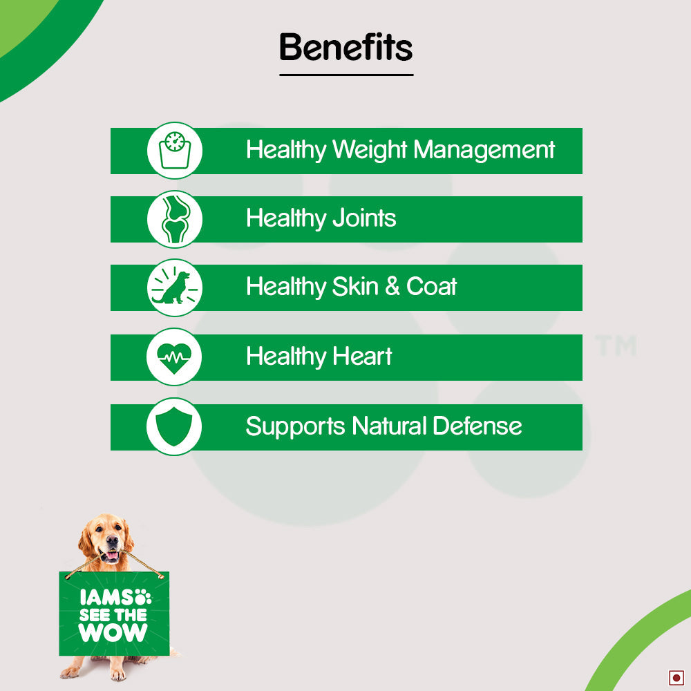 IAMS Proactive Health for Adult (1.5+ Years) Golden Retriever Premium Dry Dog Food - Heads Up For Tails