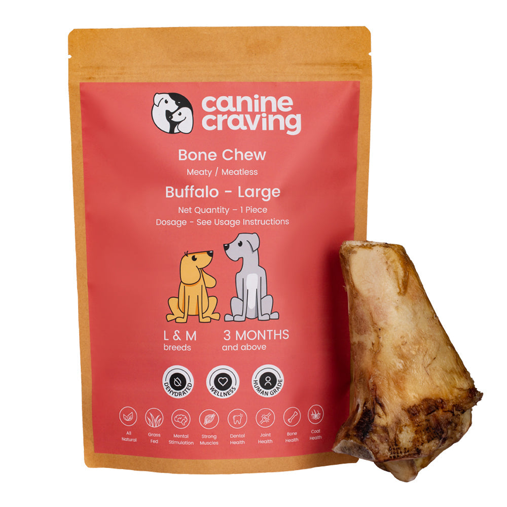 Canine Craving Meatless Buffalo Bone Chew Dog Treat Large - 1 Piece - Heads Up For Tails
