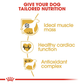 Royal Canin Boxer Adult Dog Food - Heads Up For Tails
