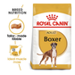 Royal Canin Boxer Adult Dog Food - Heads Up For Tails