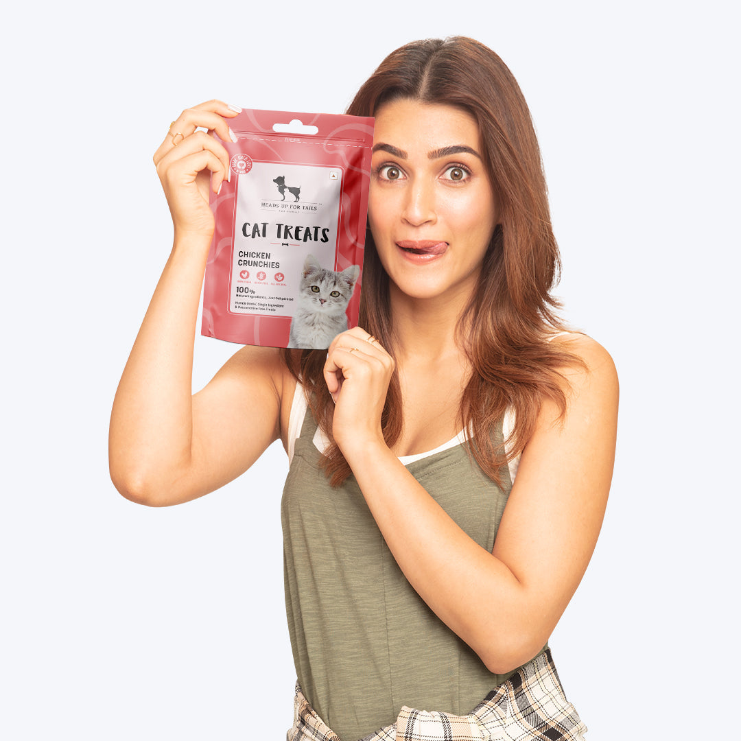 HUFT Cat Treats - Chicken Bits - 35 g - Heads Up For Tails
