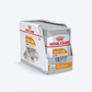 Royal Canin Coat Care Wet Dog Food (All Sizes) - 85 g - Heads Up For Tails