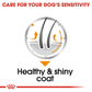 Royal Canin Coat Care Wet Dog Food (All Sizes) - 85 g - Heads Up For Tails