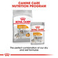 Royal Canin Coat Care Wet Dog Food (All Sizes) - 85 g - Heads Up For Tails