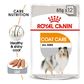 Royal Canin Coat Care Wet Dog Food (All Sizes) - 85 g - Heads Up For Tails