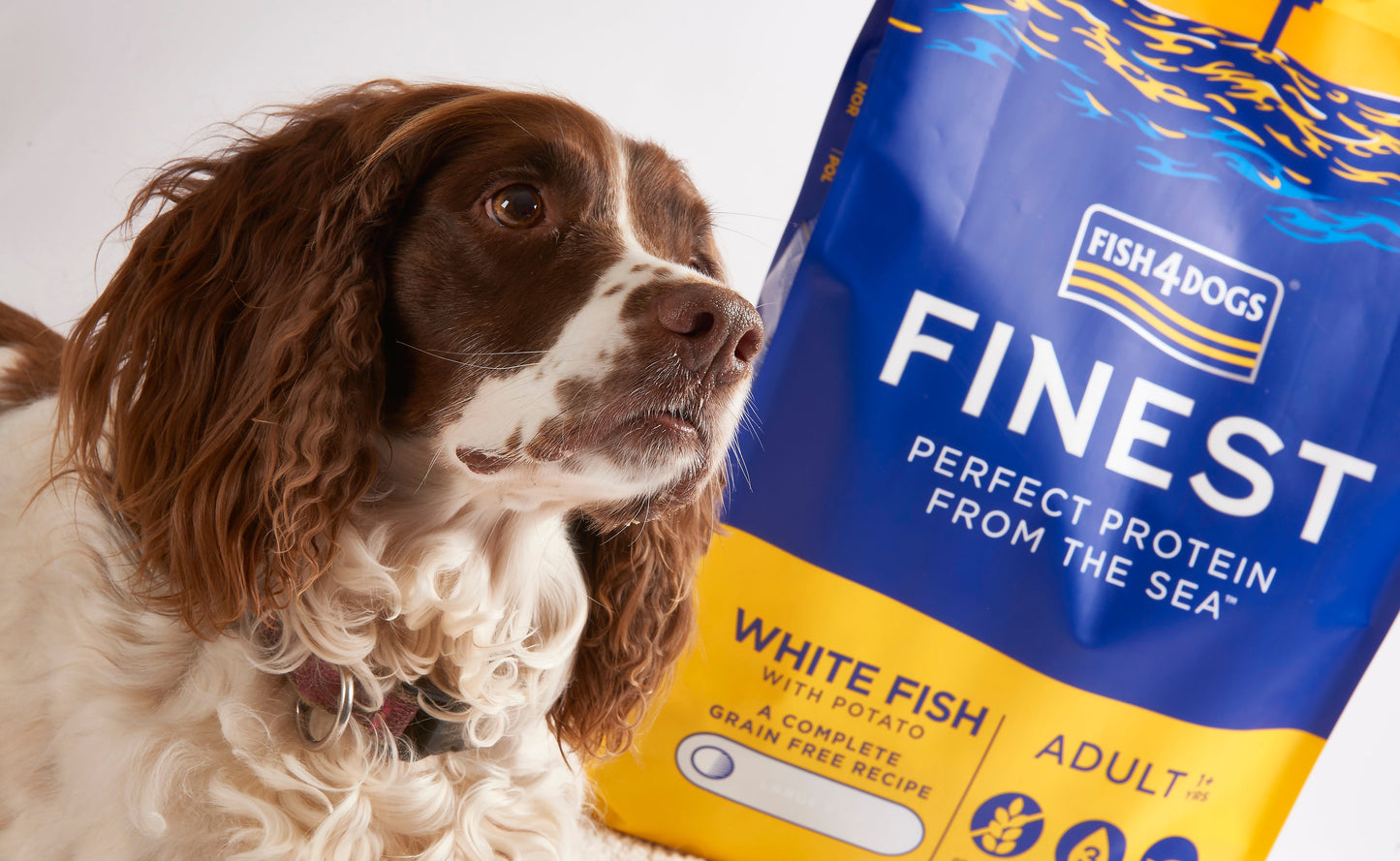 Fish4Dogs Finest Ocean White Fish Adult Dry Dog Food - Heads Up For Tails
