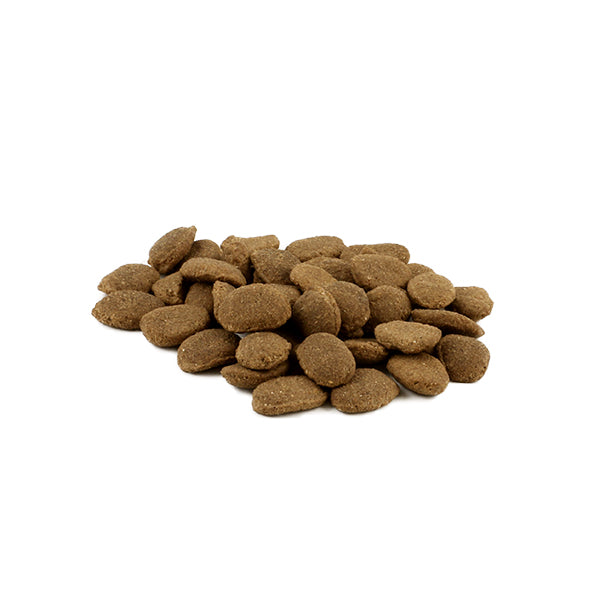 Fish4Dogs Finest Sardine Adult Dry Dog Food - Heads Up For Tails