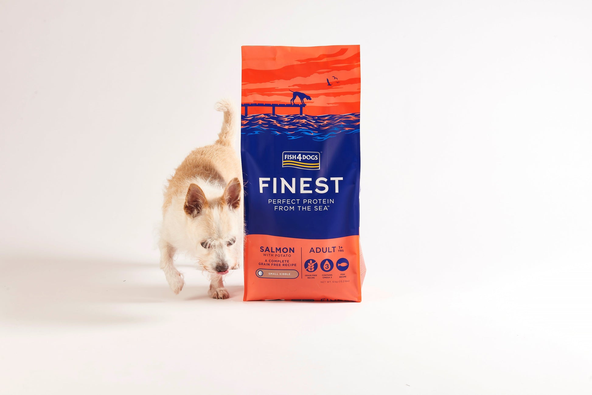 Fish4Dogs Finest Salmon Adult Dry Dog Food - Heads Up For Tails