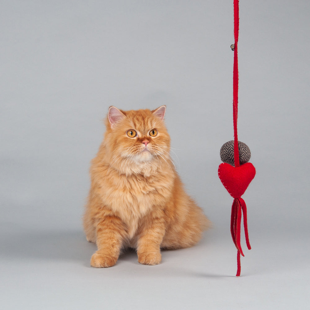 HUFT Paws For Earth Cat Wand Toy - Heart - Heads Up For Tails