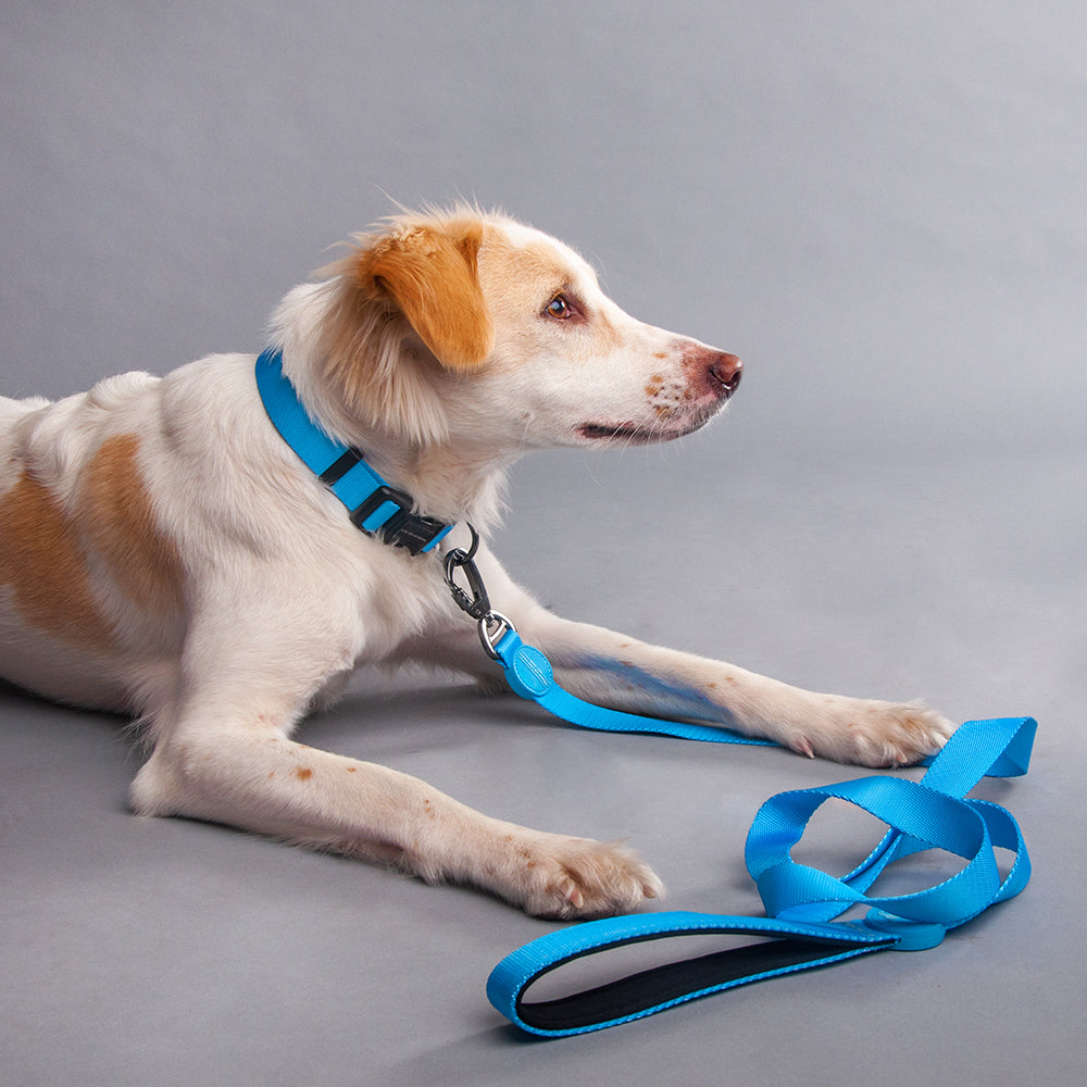 HUFT Classic Nylon Dog Leash - Blue (Can be Personalised) - 1.5 m - Heads Up For Tails