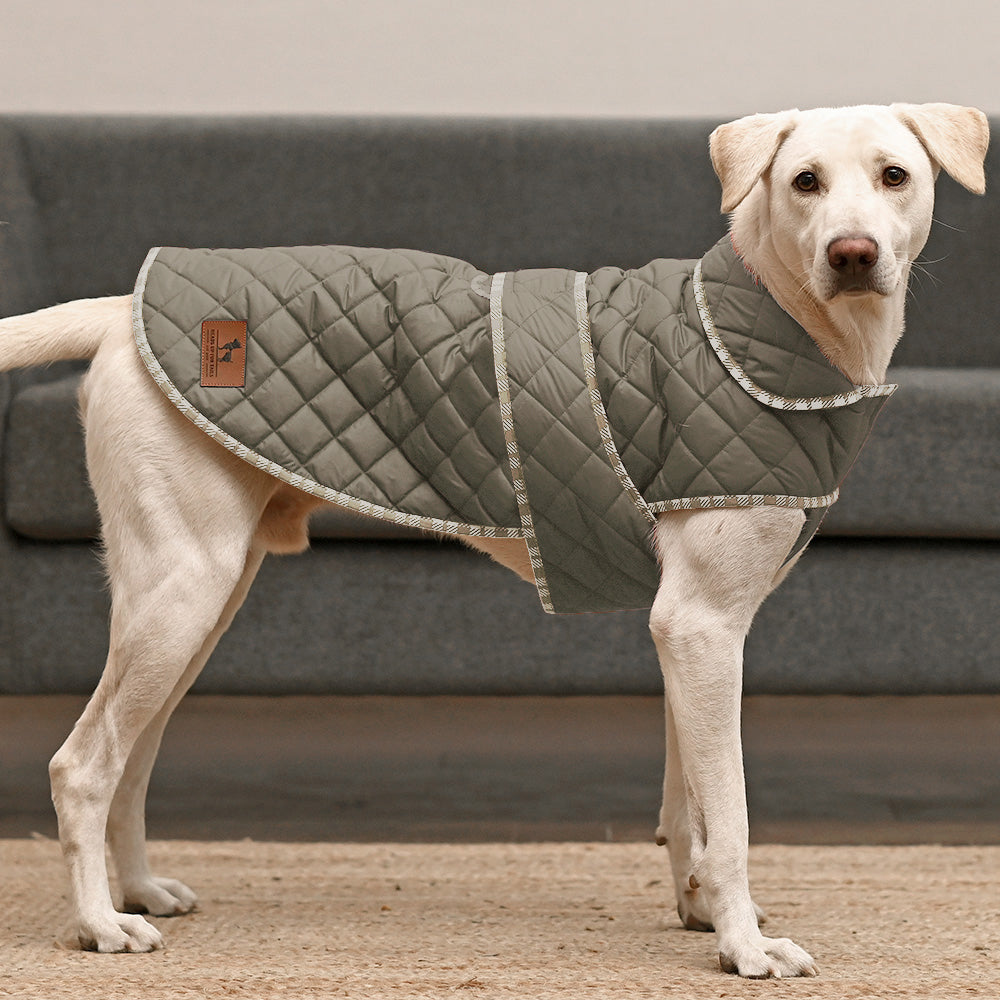 HUFT Grrrberry Quilted Dog Jacket - Green - Heads Up For Tails