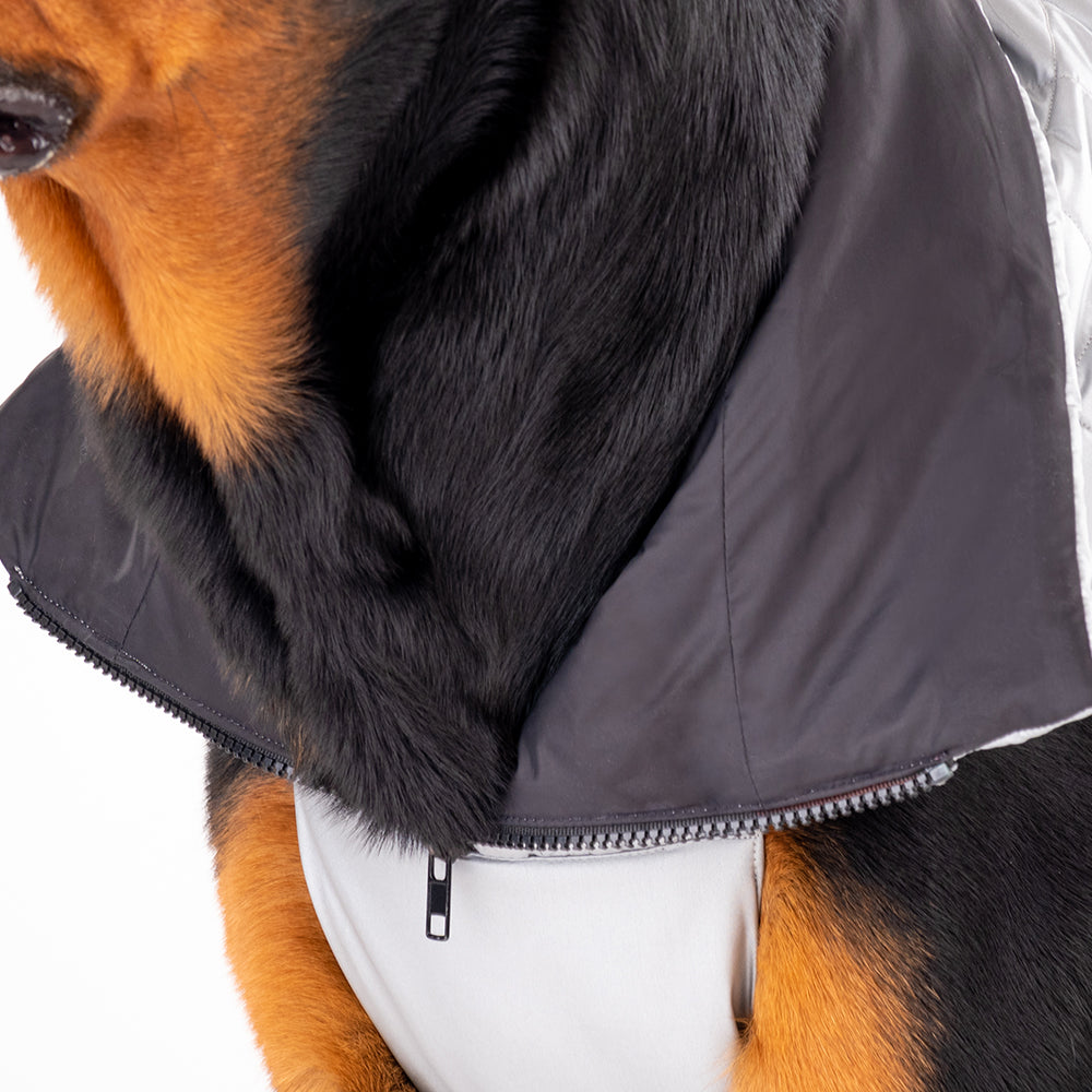 HUFT Luxe Stud Quilted Jacket For Pet -  Mat Silver-4