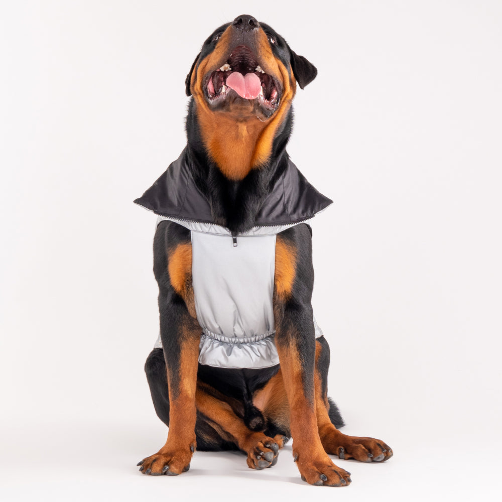 HUFT Luxe Stud Quilted Jacket For Pet -  Mat Silver-2