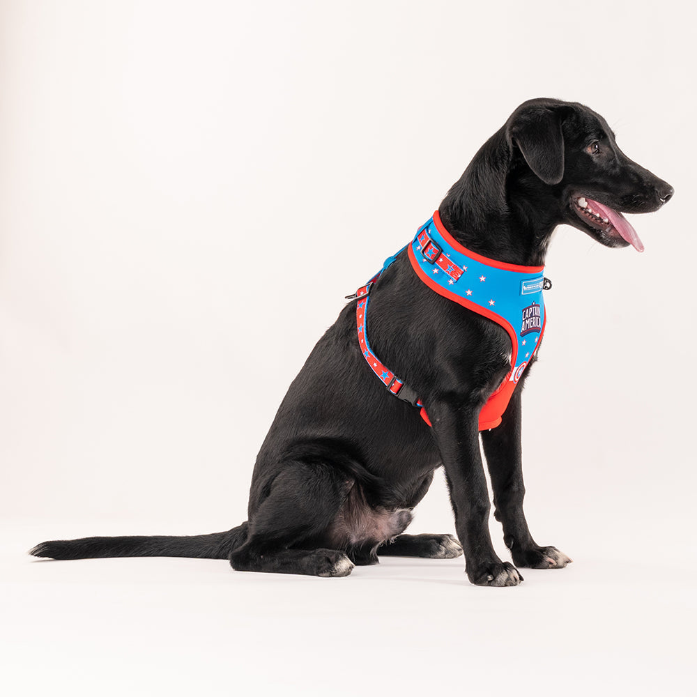 HUFT XÂ© Marvel 2.0 Captain America Printed Dog Harness (Blue and Red)_03