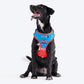 HUFT XÂ© Marvel 2.0 Captain America Printed Dog Harness (Blue and Red)_01
