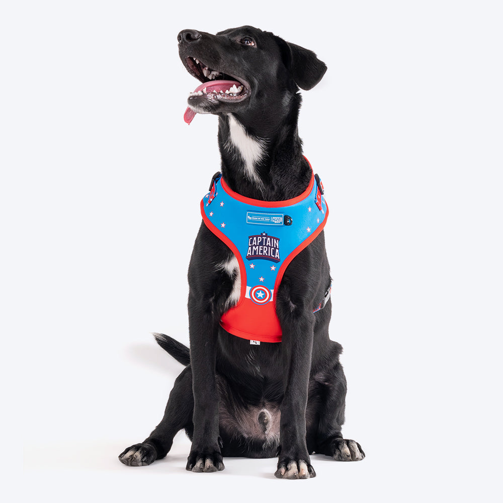 HUFT XÂ© Marvel 2.0 Captain America Printed Dog Harness (Blue and Red)_01