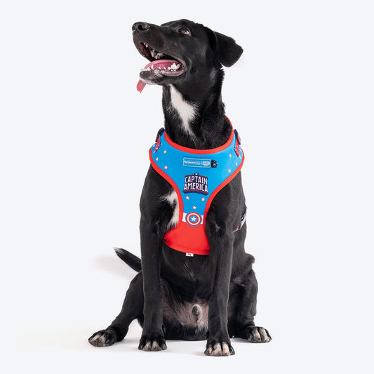 HUFT XÂ© Marvel 2.0 Captain America Printed Dog Harness (Blue and Red)_01