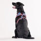 HUFT XÂ© Marvel 2.0 Captain America Printed Dog Harness (Blue and Red)_02