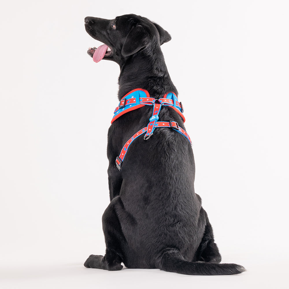HUFT XÂ© Marvel 2.0 Captain America Printed Dog Harness (Blue and Red)_02