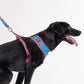 HUFT XÂ© Marvel 2.0 Captain America Printed Dog Harness (Blue and Red)_03