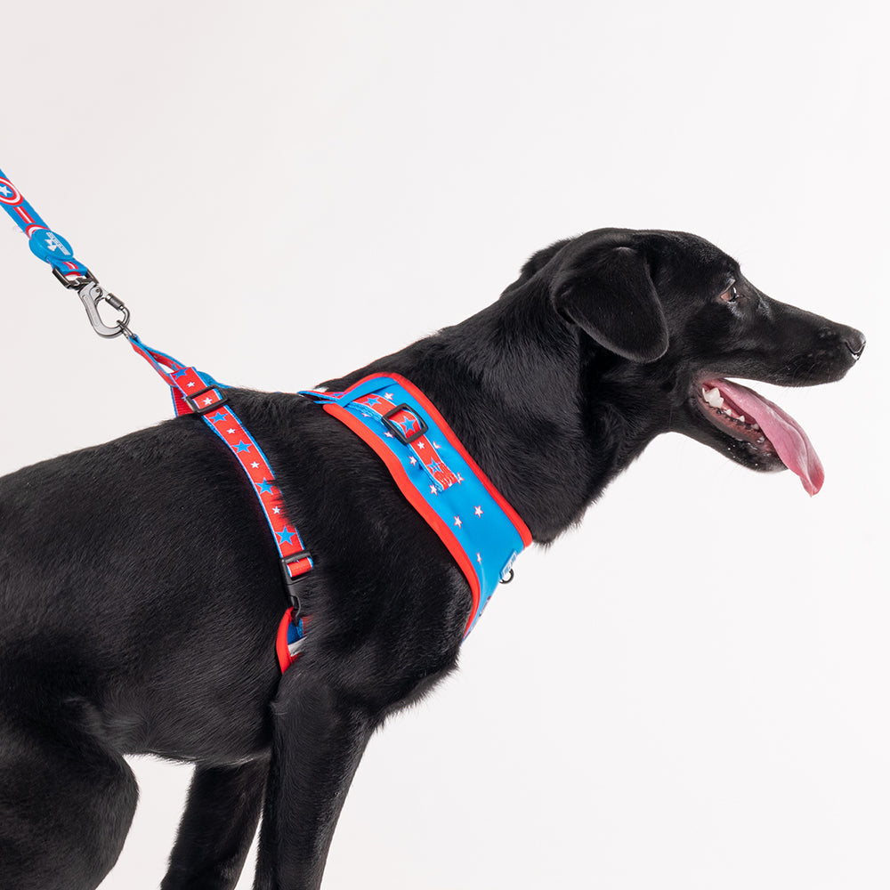 HUFT XÂ© Marvel 2.0 Captain America Printed Dog Harness (Blue and Red)_03