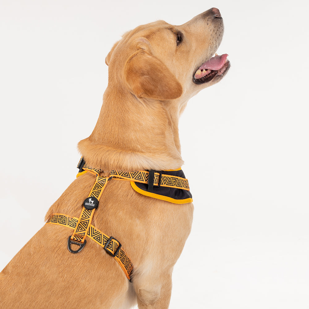 HUFT XÂ© Marvel 2.0 Black Panther Printed Dog Harness (Yellow and Black)_03