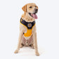 HUFT XÂ© Marvel 2.0 Black Panther Printed Dog Harness (Yellow and Black)_01