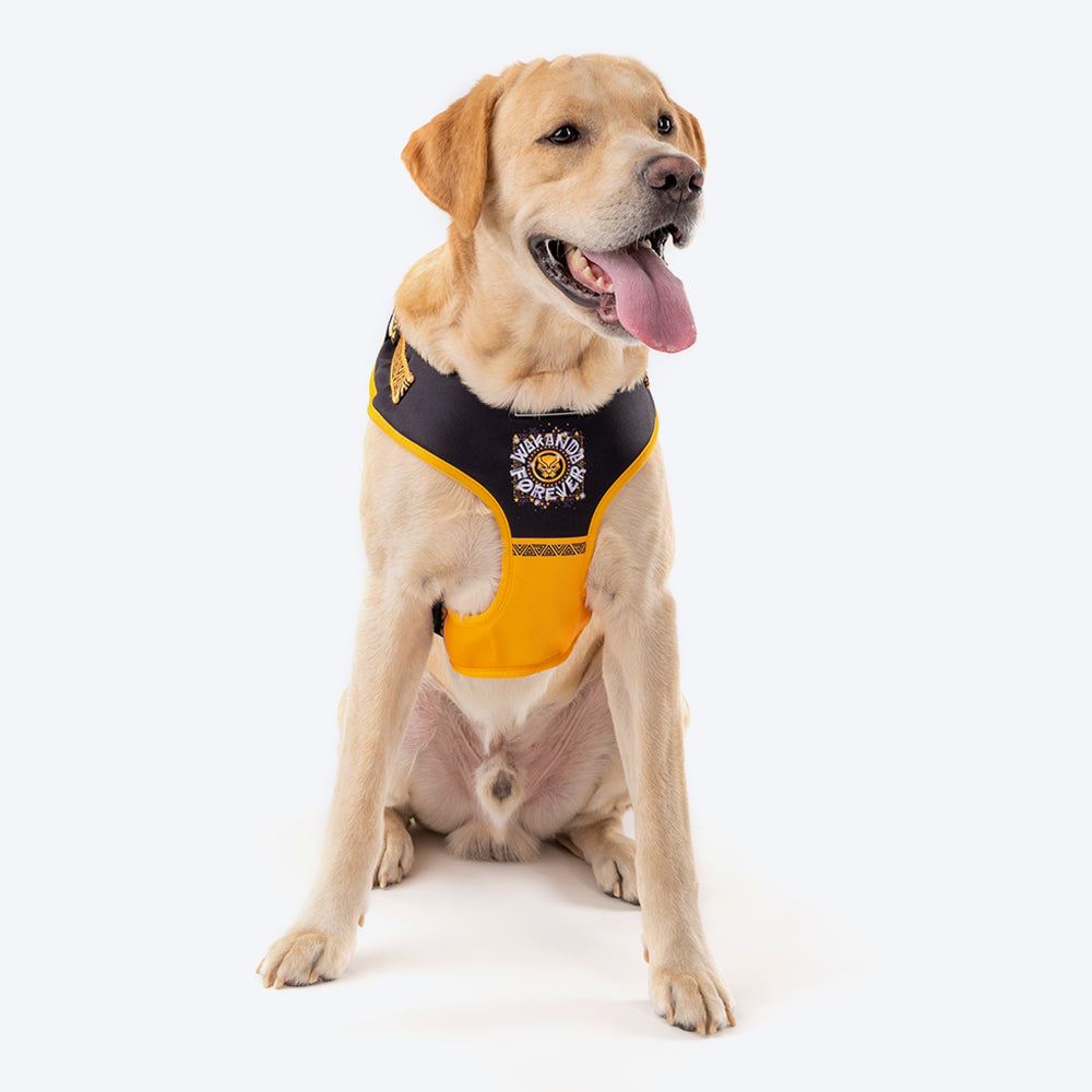 HUFT XÂ© Marvel 2.0 Black Panther Printed Dog Harness (Yellow and Black)_01