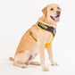 HUFT XÂ© Marvel 2.0 Black Panther Printed Dog Harness (Yellow and Black)_02