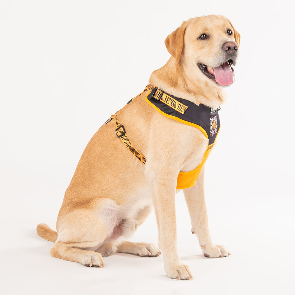 HUFT XÂ© Marvel 2.0 Black Panther Printed Dog Harness (Yellow and Black)_02
