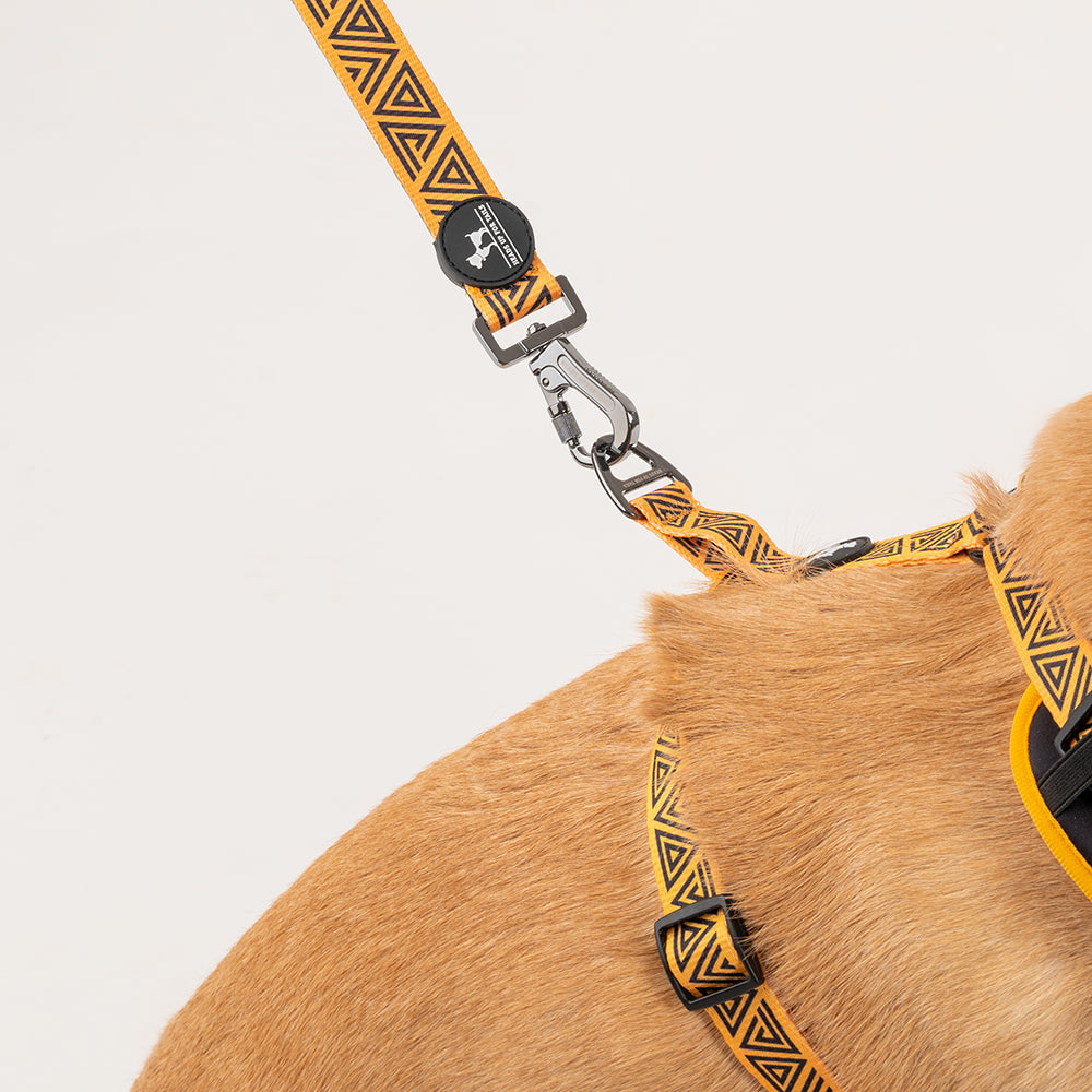 HUFT XÂ© Marvel 2.0 Black Panther Printed Dog Harness (Yellow and Black)_08
