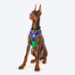 HUFT XÂ© Marvel 2.0 Hulk Printed Dog Harness (Green and Purple)_01