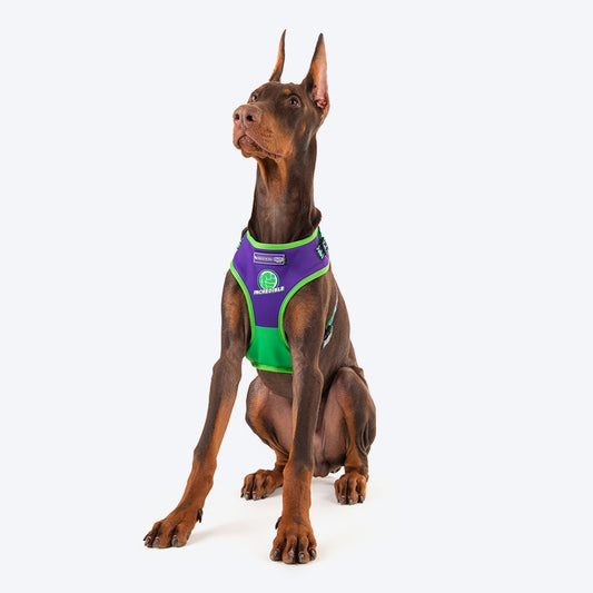 HUFT XÂ© Marvel 2.0 Hulk Printed Dog Harness (Green and Purple)_01
