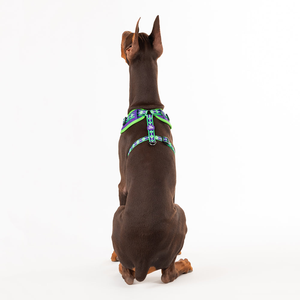 HUFT XÂ© Marvel 2.0 Hulk Printed Dog Harness (Green and Purple)_02