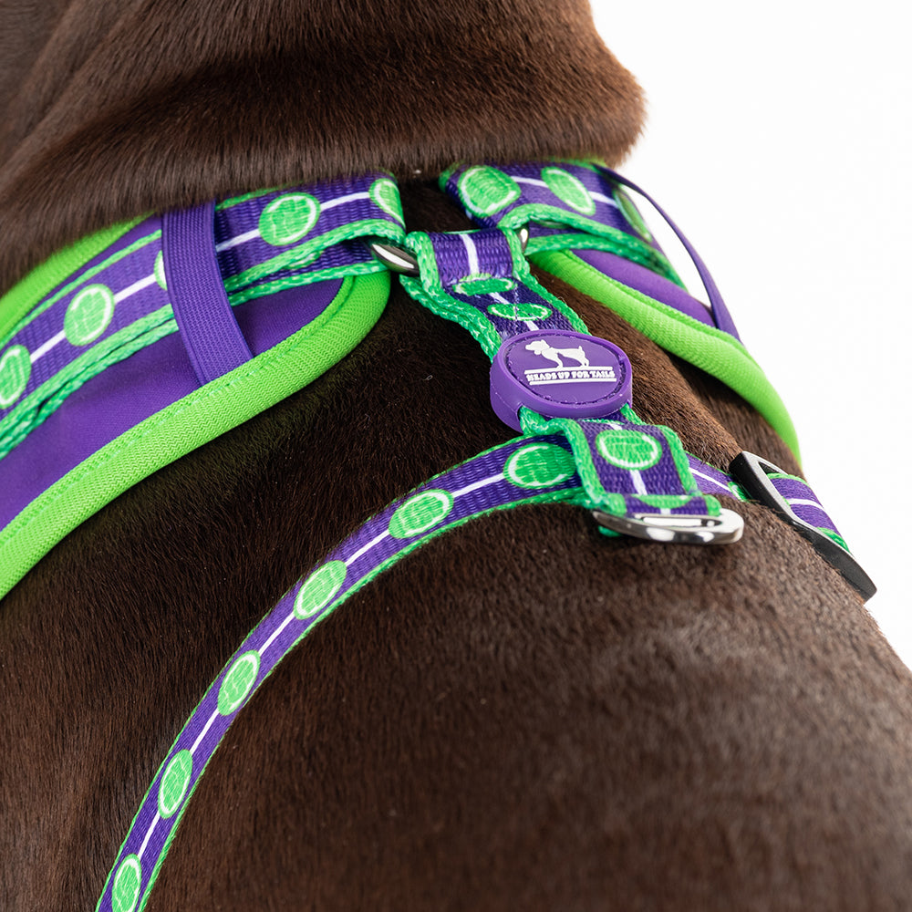 HUFT XÂ© Marvel 2.0 Hulk Printed Dog Harness (Green and Purple)_03