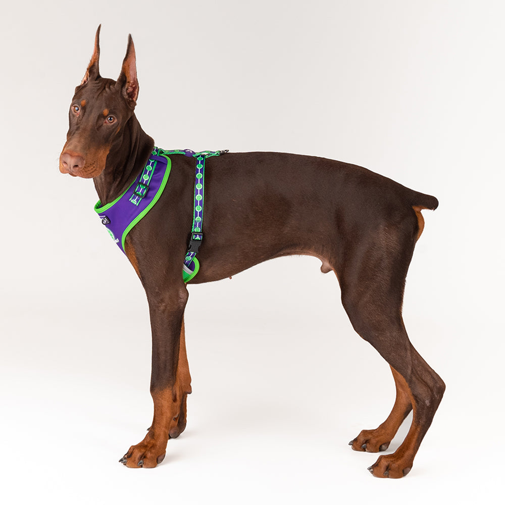 HUFT XÂ© Marvel 2.0 Hulk Printed Dog Harness (Green and Purple)_04